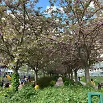 Charming Parisian Apartment